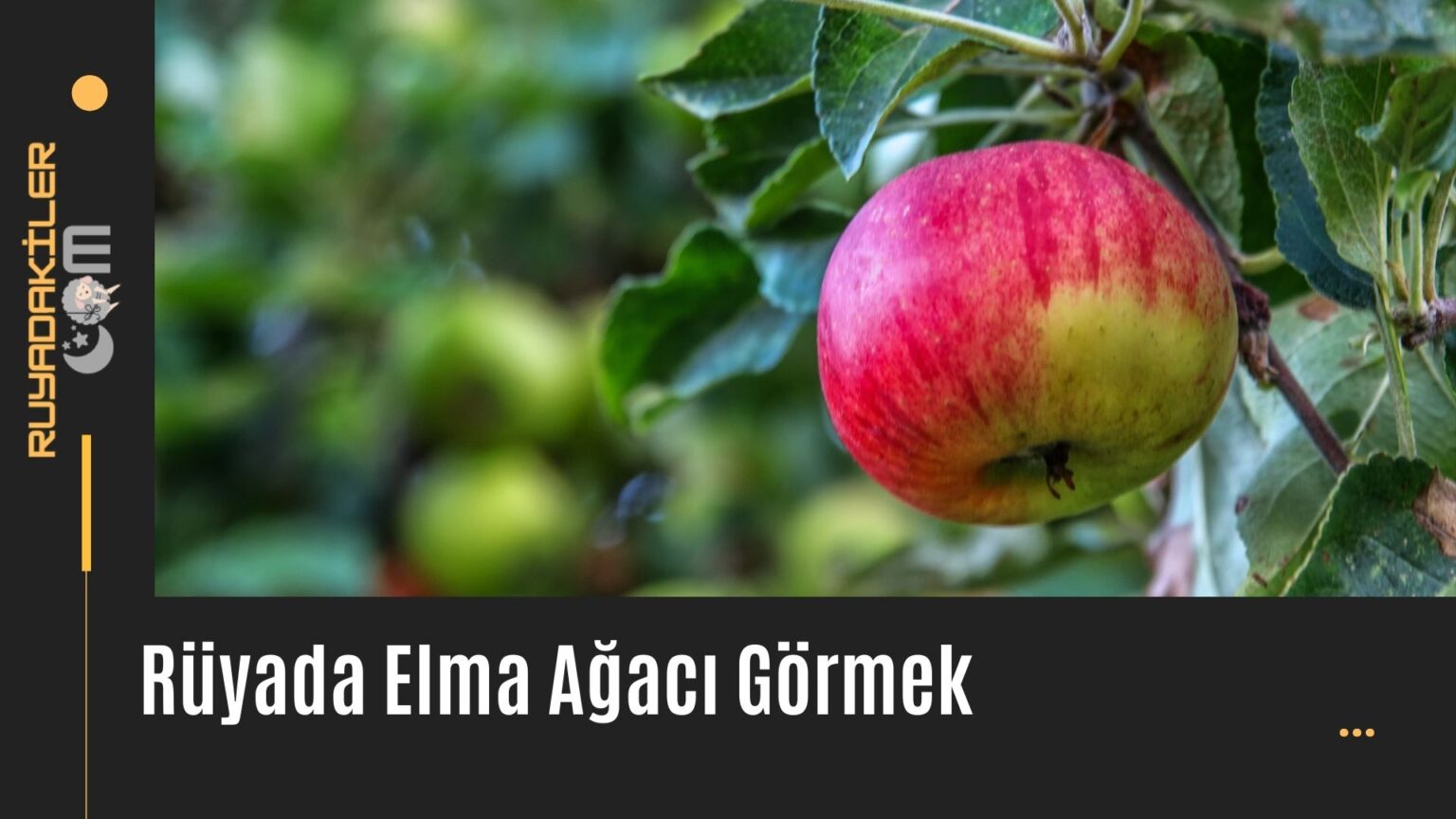 Rüyada Elma Görmek | Rüyada Yeşil Elma Görmek | Rüya Tabirleri