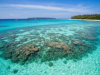 Rüyada Berrak Deniz Görmek: Saflık ve Güzel Haber